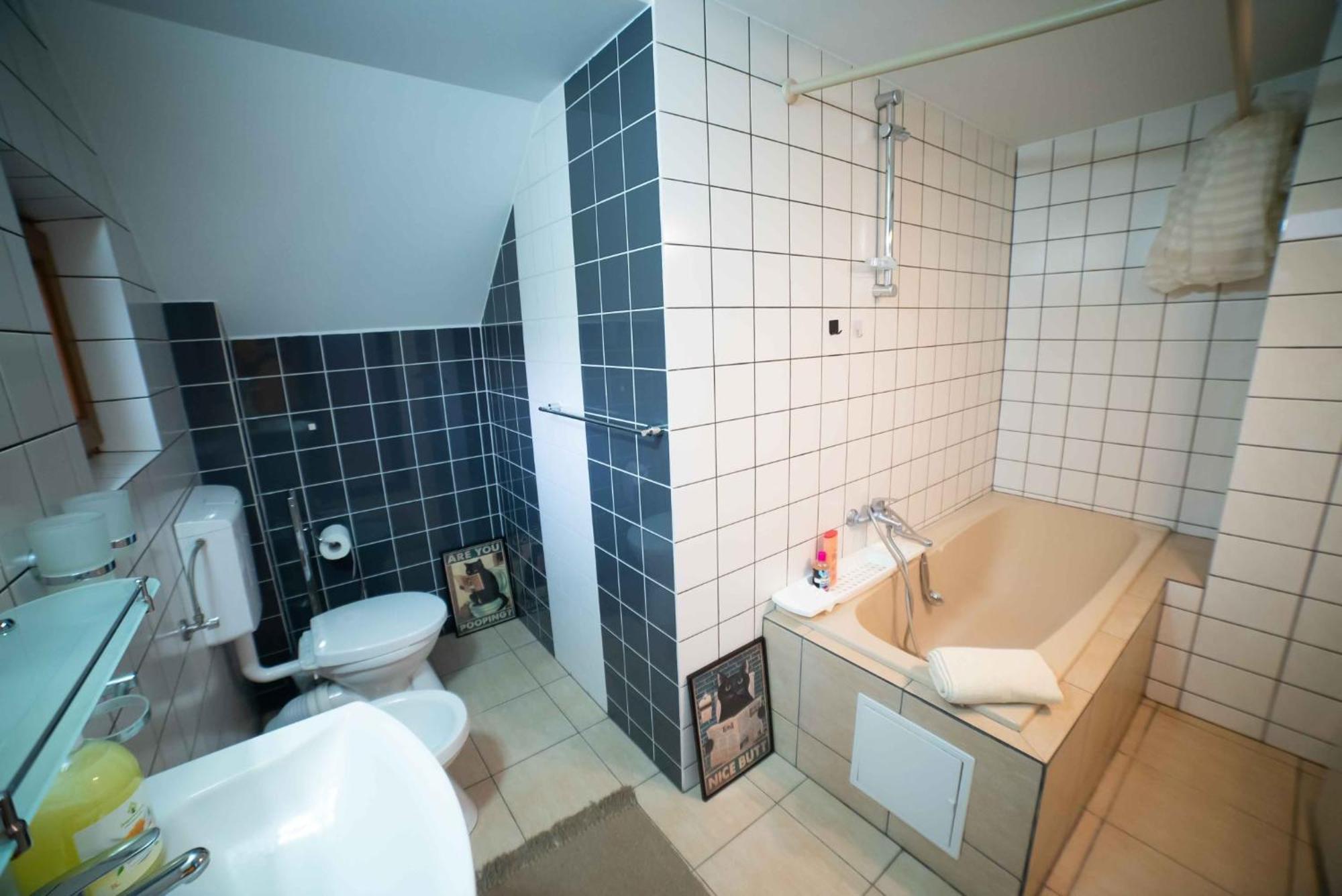 Full-House Si Gradina In Bucovina, Lisaura Villa Екстериор снимка